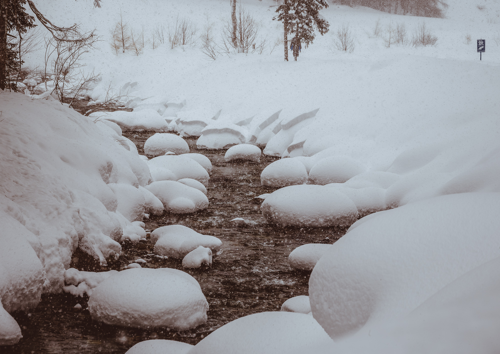 Export x3 1DX29403 Pano Verlobungsfotoshooting 2018 Anna & Dominik